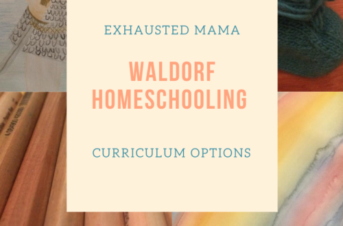 Waldorf Homeschooling Options